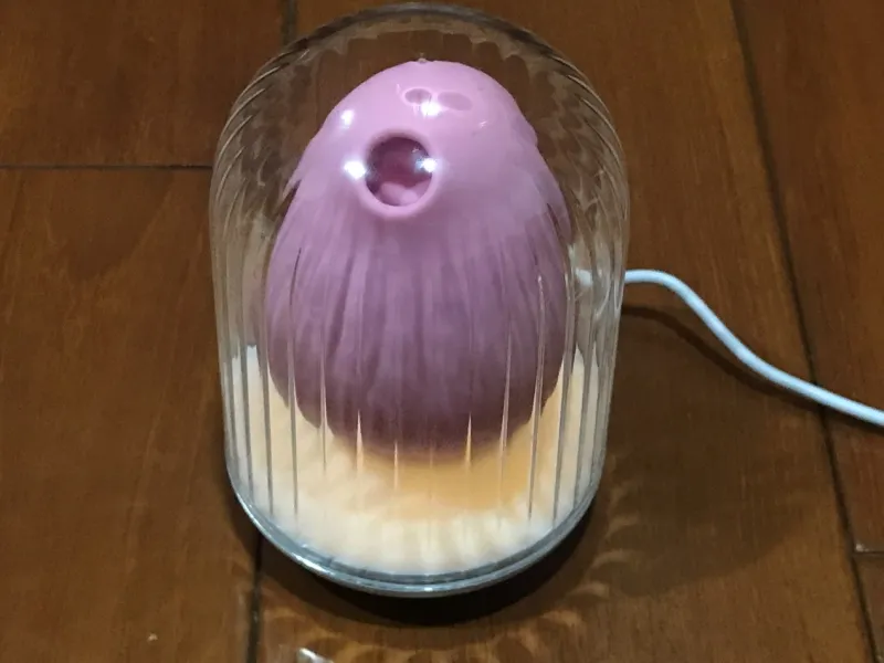 【Clitoral Orgasm】Essential Device for Clit Stimulation: The "Teasing Bird Sonic Suction Toy"