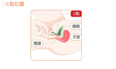 [Exploring the G-Spot] Delve into the Key to Female Orgasm: The "G-Spot"